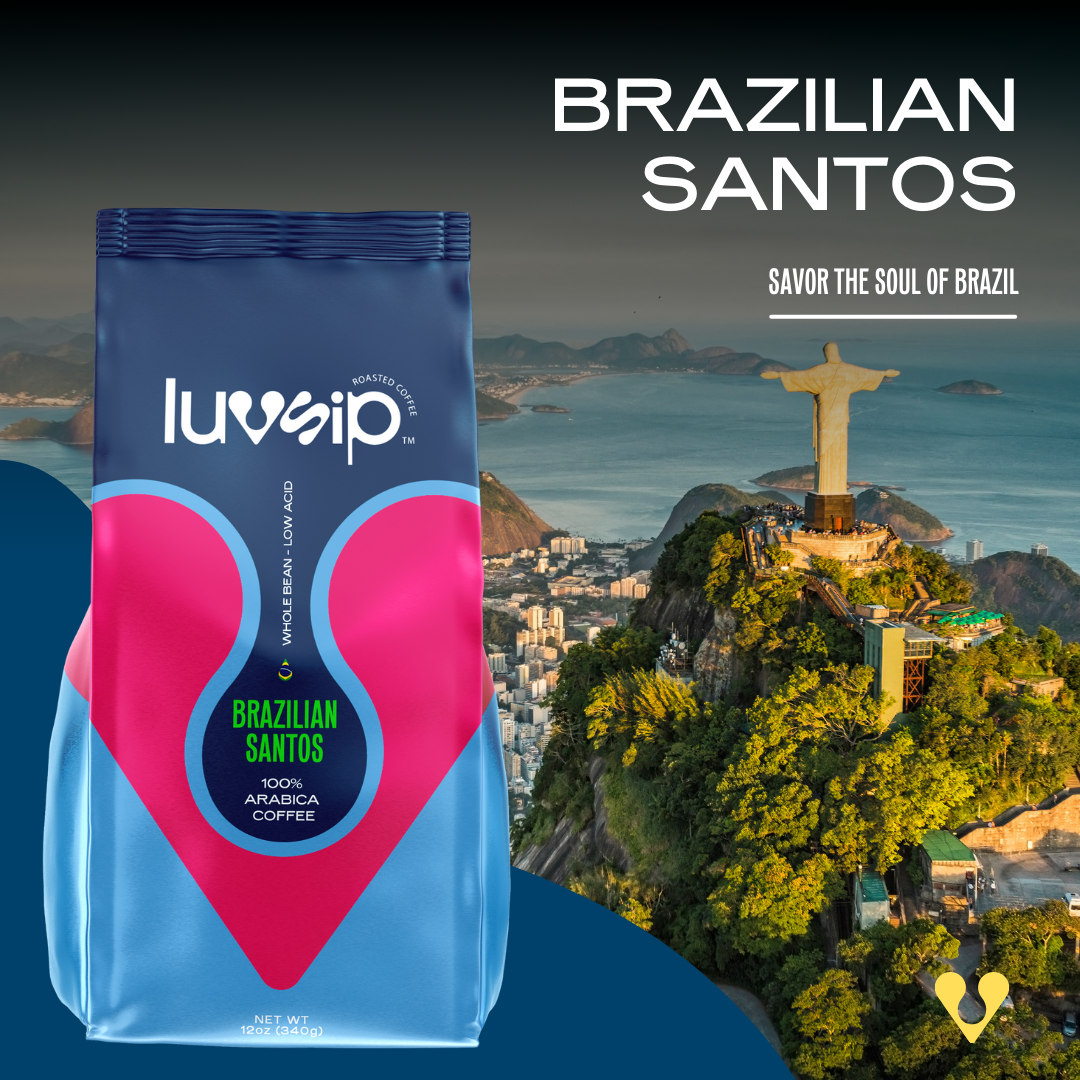 Brazilian Santos - Single Origin Low Acid -12oz (340g)